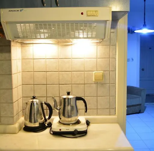 アパートホテル Babaoglu 2*